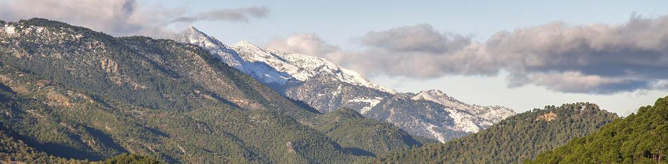 cazorla
