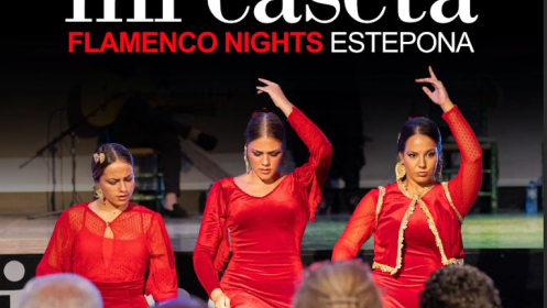 Flamenco en vivo para dos en 