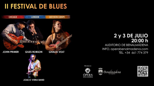 Entrada para FESTIVAL DE BLUES, en Auditorio de Benalmádena