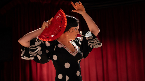 Entrada para espectáculo flamenco en Alegría por 21,75€