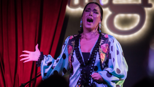 Espectáculo flamenco en directo en el centro de Málaga